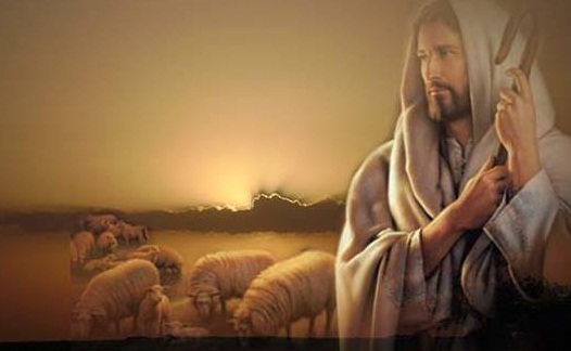 Pastor Bueno (Fray Héctor Herrera o.p.)