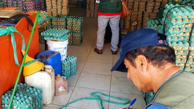 Chimbote: multan a negocio avícola de mercado La Perla por vender huevos en descomposición