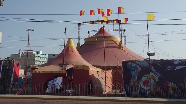 Trapecista cae de una altura de 20 metros durante función de circo en Nuevo Chimbote