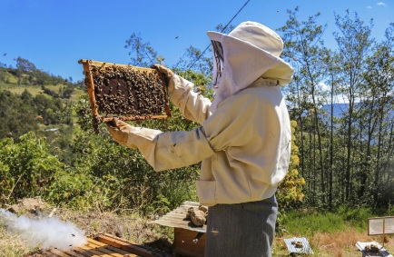 Avanzar Rural financia proyectos por hasta S/ 350 mil para pequeños productores de Áncash