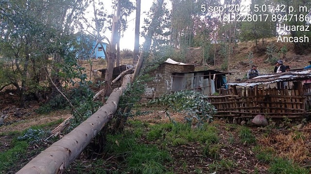 Áncash: árbol cae sobre vivienda debido a fuertes vientos en el distrito de Independencia