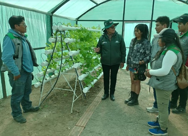 En 25% avanzan trabajos de instalación de módulos hidropónicos para enfrentar fenómeno El Niño Global
