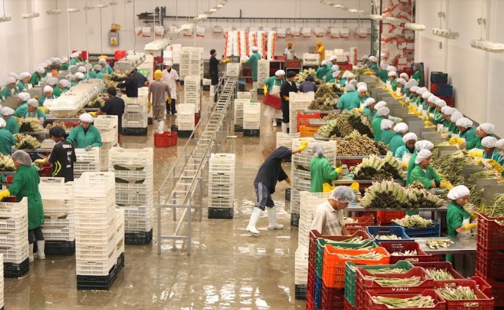 Exportaciones peruanas mantienen niveles del año 2022