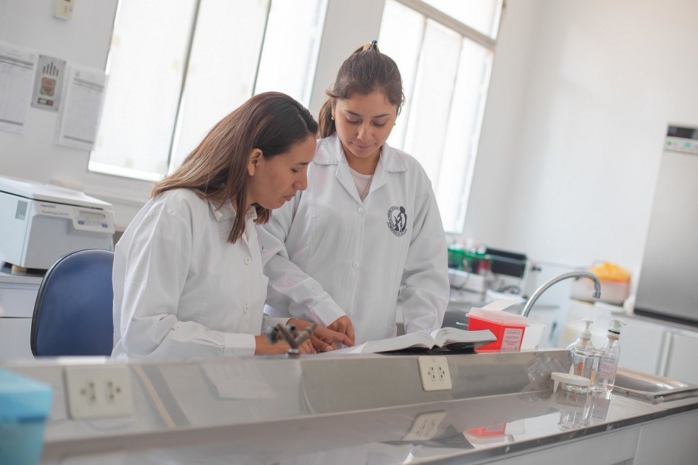 El 72 % de ganadores de la Beca Generación Bicentenario estudió en universidades públicas 