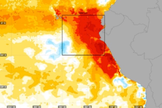  Enfen eleva a 66 % probabilidad de ocurrencia de “El Niño Costero” en el verano del 2024