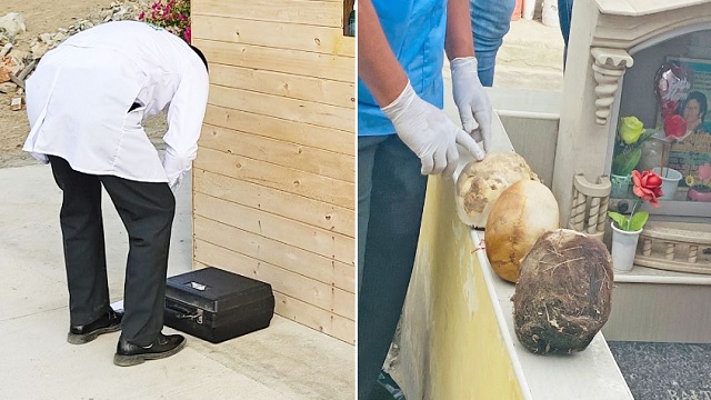 Chimbote: hallan cráneos humanos desenterrados en cementerio Divino Maestro