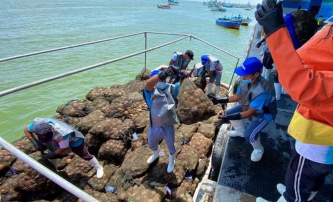 Sanipes toma acciones urgentes para disminuir consecuencias del ciclón Yaku