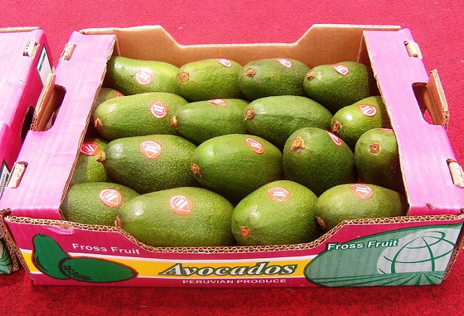 Japón fue el tercer destino de las exportaciones peruanas en el 2022