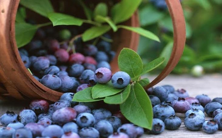 Envíos al exterior se incrementan en 14 regiones del país