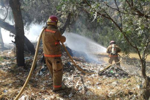 Áncash: 15 hectáreas de bosque fueron arrasadas por incendio cerca del Parque Huascarán