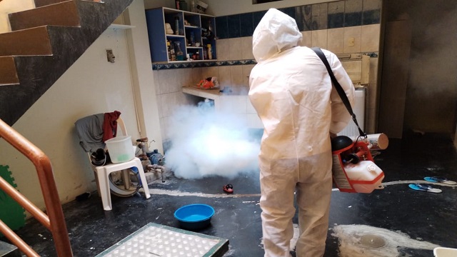 MPS inicia trabajos de fumigación en casco urbano de Chimbote ante incremento de dengue