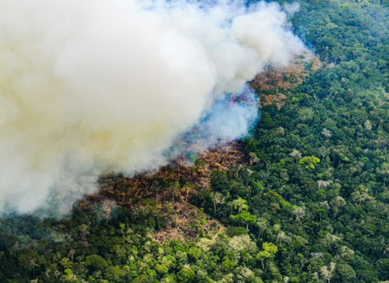Más del 70 % de los incendios forestales han ocurrido en la Amazonía peruana