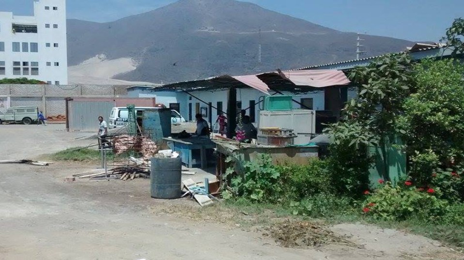 Trabajadores de “La Caleta” con chancho al palo celebran fiesta de fin de año 