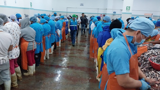 Nuevo Chimbote: empresas pesqueras son multadas por descargar productos en la vía pública