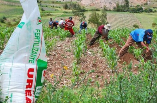 Fertiabono II se entregaría a partir del 24 de febrero