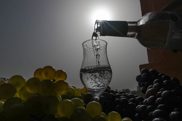 Envíos de pisco al mundo sumaron casi  US$ 4 millones entre enero y mayo del 2023