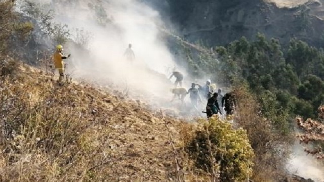 Más de 2 mil hectáreas de cobertura vegetal se han perdido por incendios forestales en Áncash