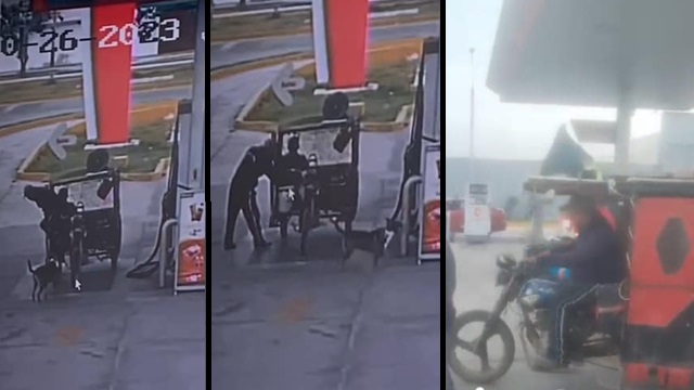 Nuevo Chimbote: sujeto mata a perrito callejero lanzándole un cuchillo