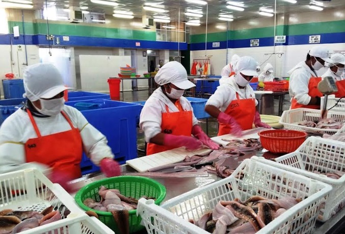 Número de empleos generados por  exportaciones cayó -4.9% en el 2023