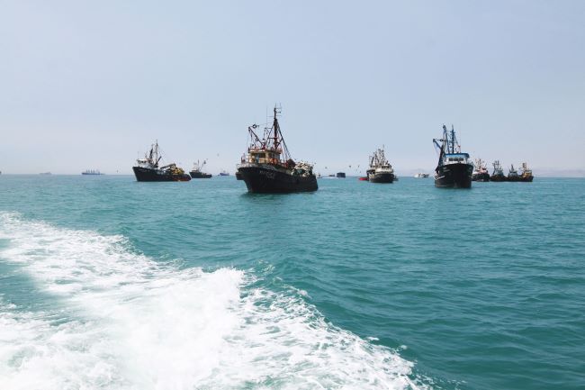 Sector pesquero se incrementó en 56.8% en junio de 2024 por mayor descarga de anchoveta