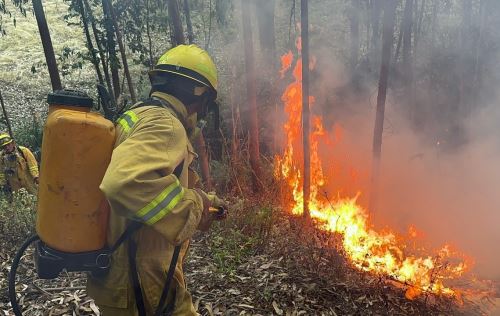 En Áncash se han registrado 83 incendios forestales en lo que va del 2024 
