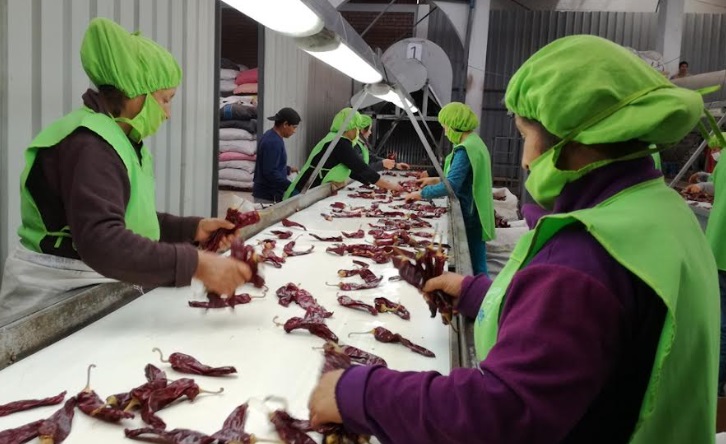 Número de empresas exportadoras  se incrementó 2.5% entre enero y agosto del 2023