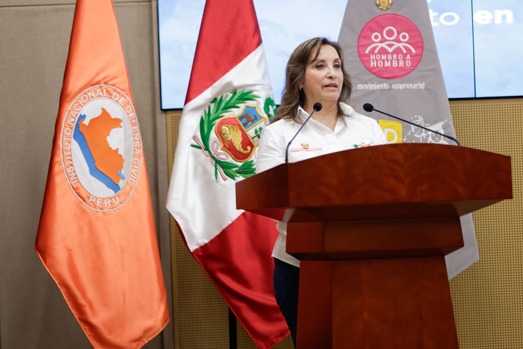 Presidenta Boluarte asevera que próximo viaje al exterior permitirá mayores inversiones para el Perú