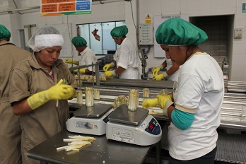 Adex: stock de empleos generados por exportaciones superaron nivel pre-pandemia