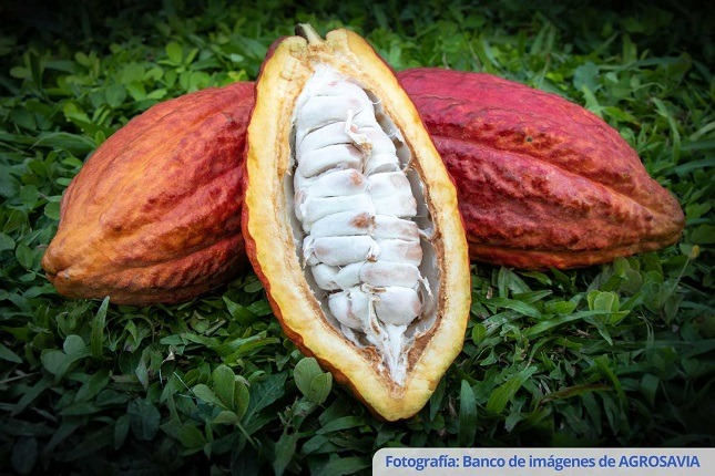 Adex saludó proyecto de ley que fomenta producción de alimentos inocuos