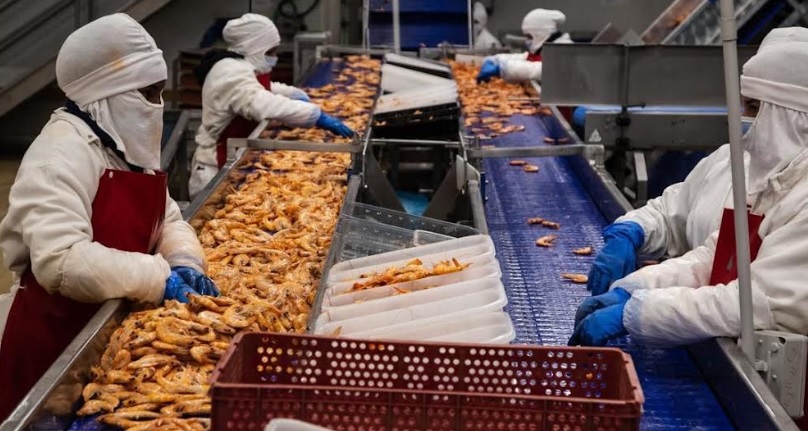 Importaciones cayeron -15.8% entre enero y julio de este año