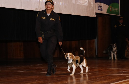 Corte del Santa también se suma a la lucha contra el maltrato animal