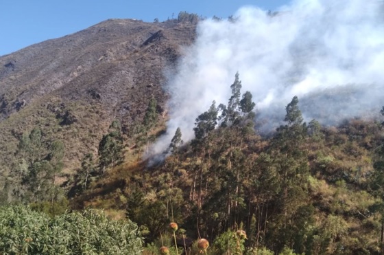 Incendio forestal en Huari aún no es controlado y consumió más de 50 has de plantaciones