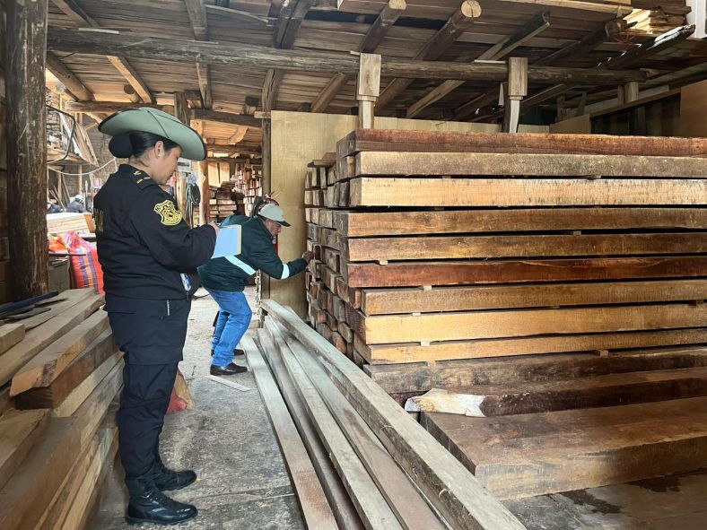 Áncash: Serfor fortalece acciones contra el tráfico ilegal y decomisa más de 2 mil pies tablares de madera 