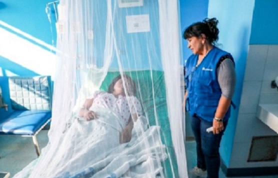 EsSalud ha atendido más de 7500 casos de dengue en el país en el 2024