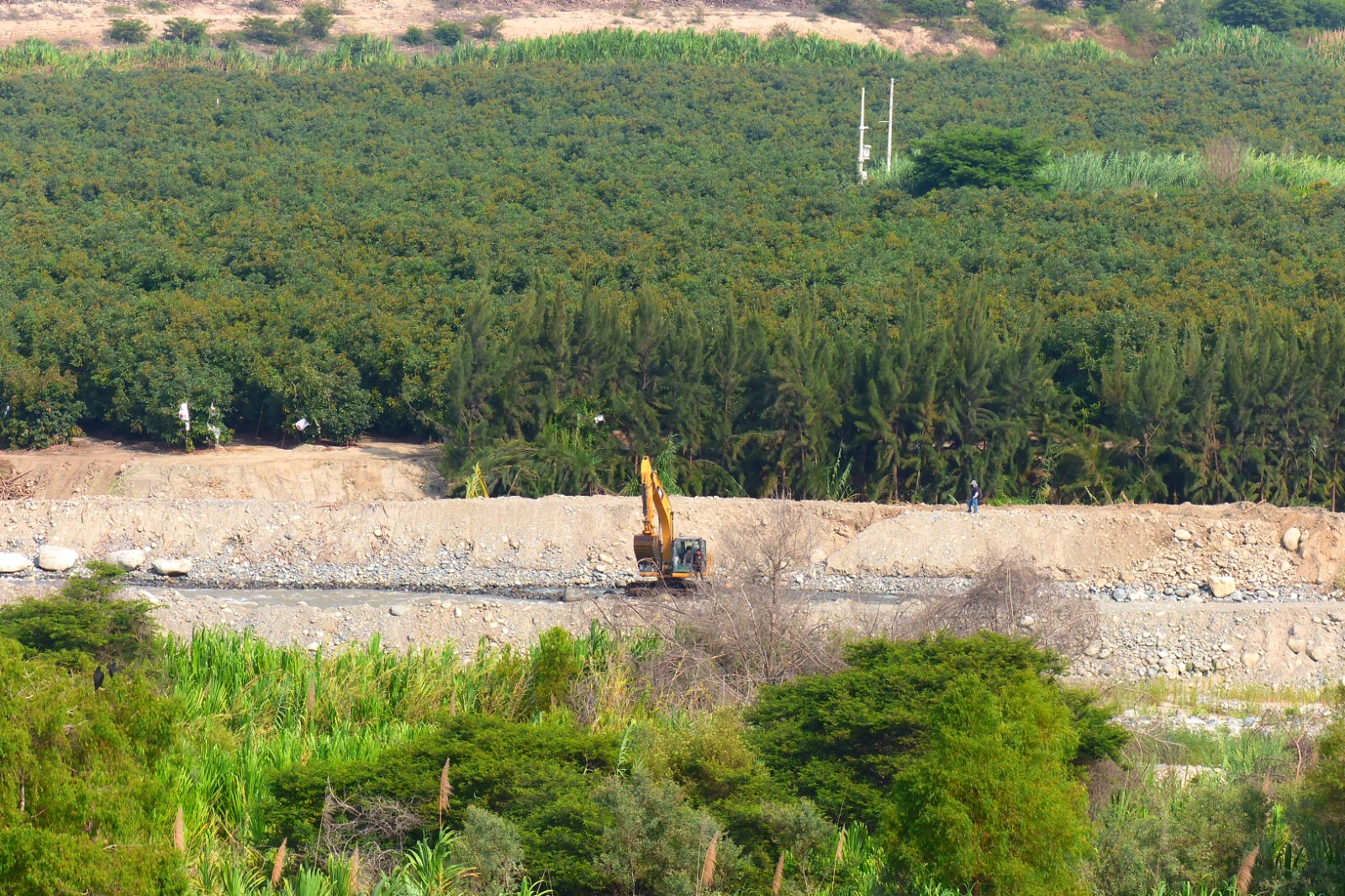 Moro: más de mil héctarias de cultivo en peligrp por lluvias de "El Niño"