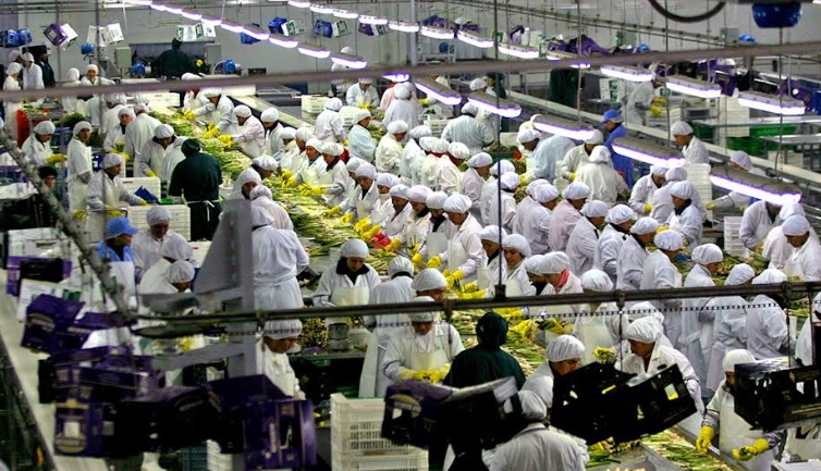 Envíos al exterior reportaron ligero crecimiento de enero a noviembre del 2023