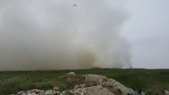 Nuevo Chimbote:  incendio de grandes proporciones se registró nuevamente en totorales de Villa María