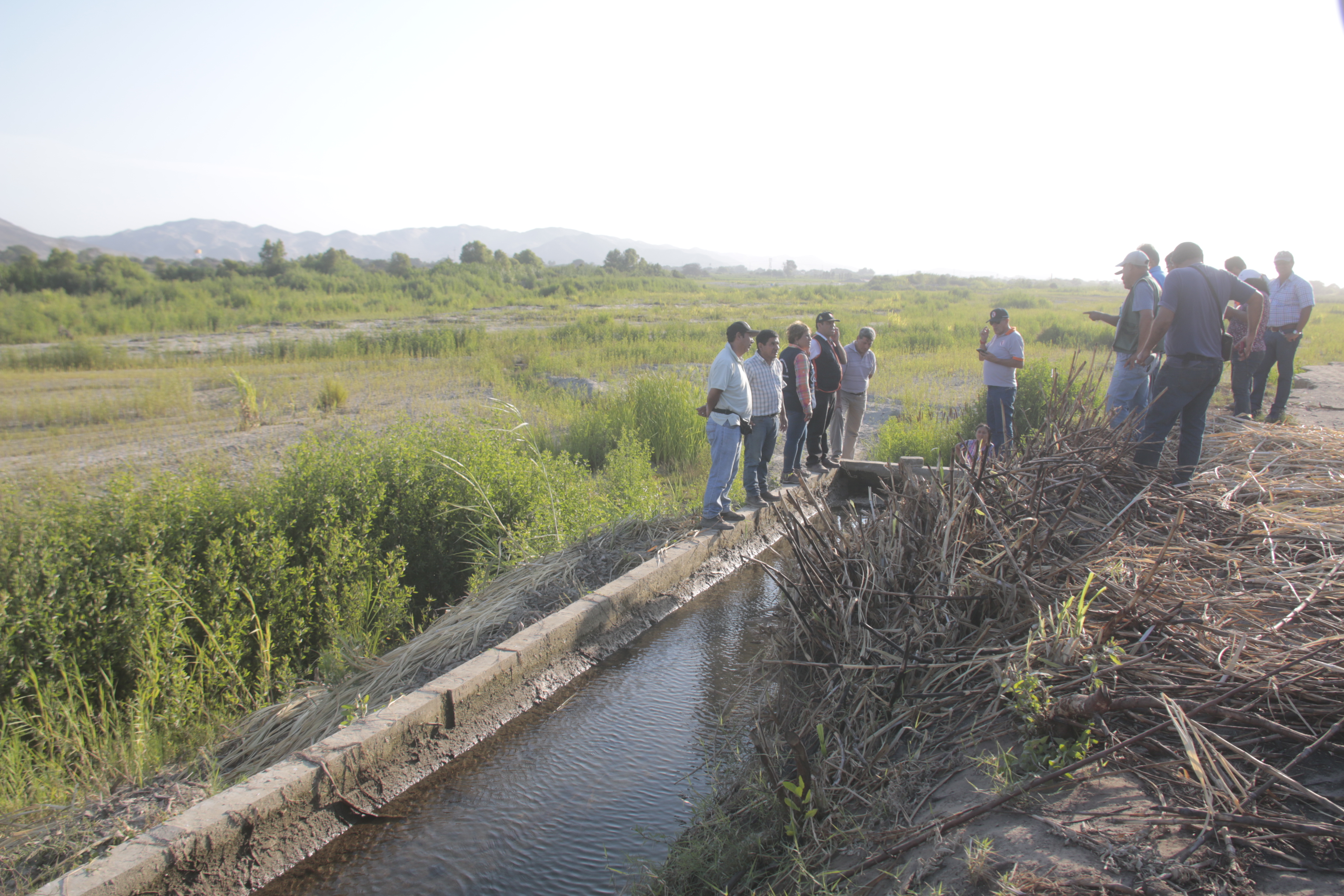 Chimbote: más de 10 mil hectáreas de cultivo en riesgo por falta de descolmatación en ríos 