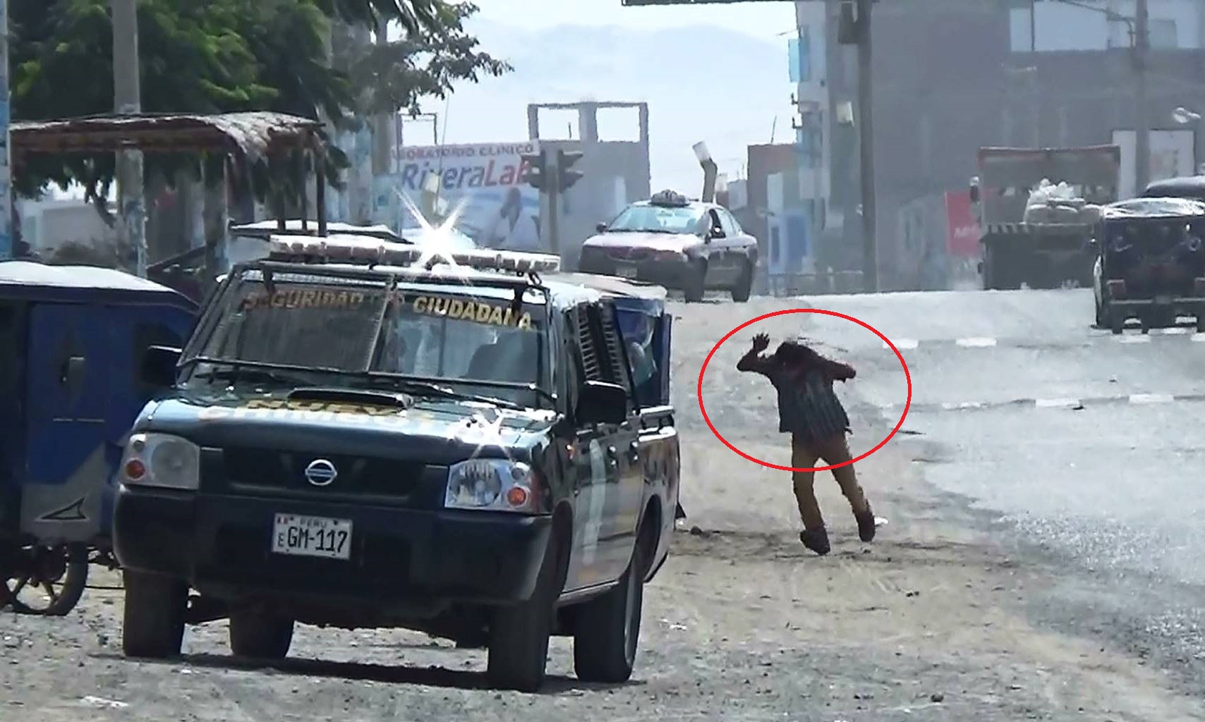 Nuevo Chimbote: abejas atacan a moradores de urbanización Santa Rosa