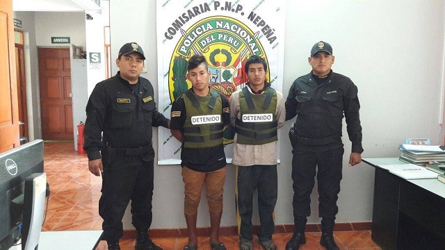 Atrapan a 2 delincuentes que robaron 75 cabezas de ganado lanar en Nepeña