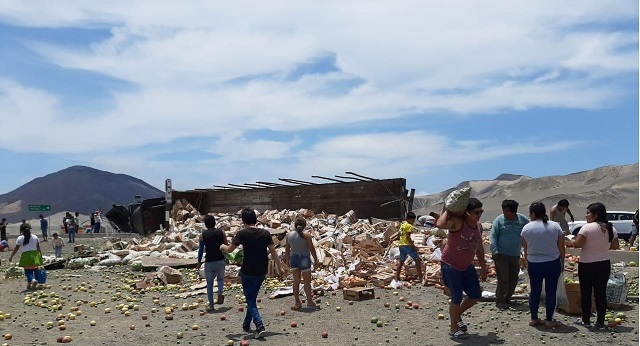 Inescrupulosos roban limones y maracuyá de camión que volcó en la Panamericana Norte en “Tortugas”