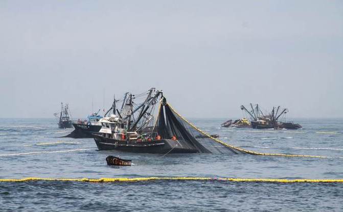 Perú y Ecuador diseñarán Plan de Acción Binacional para sostenibilidad de recursos hidrobiológicos