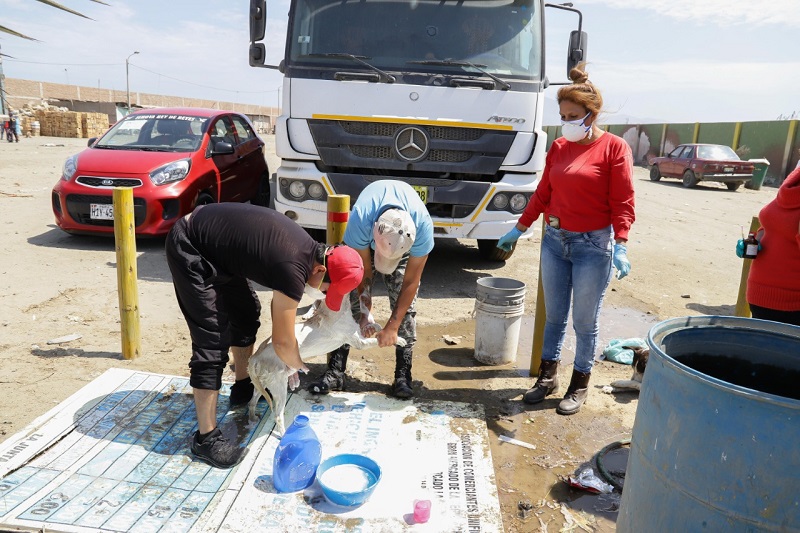 Acondicionan ambiente para albergar a perros que viven dentro del mercado "La Perla"