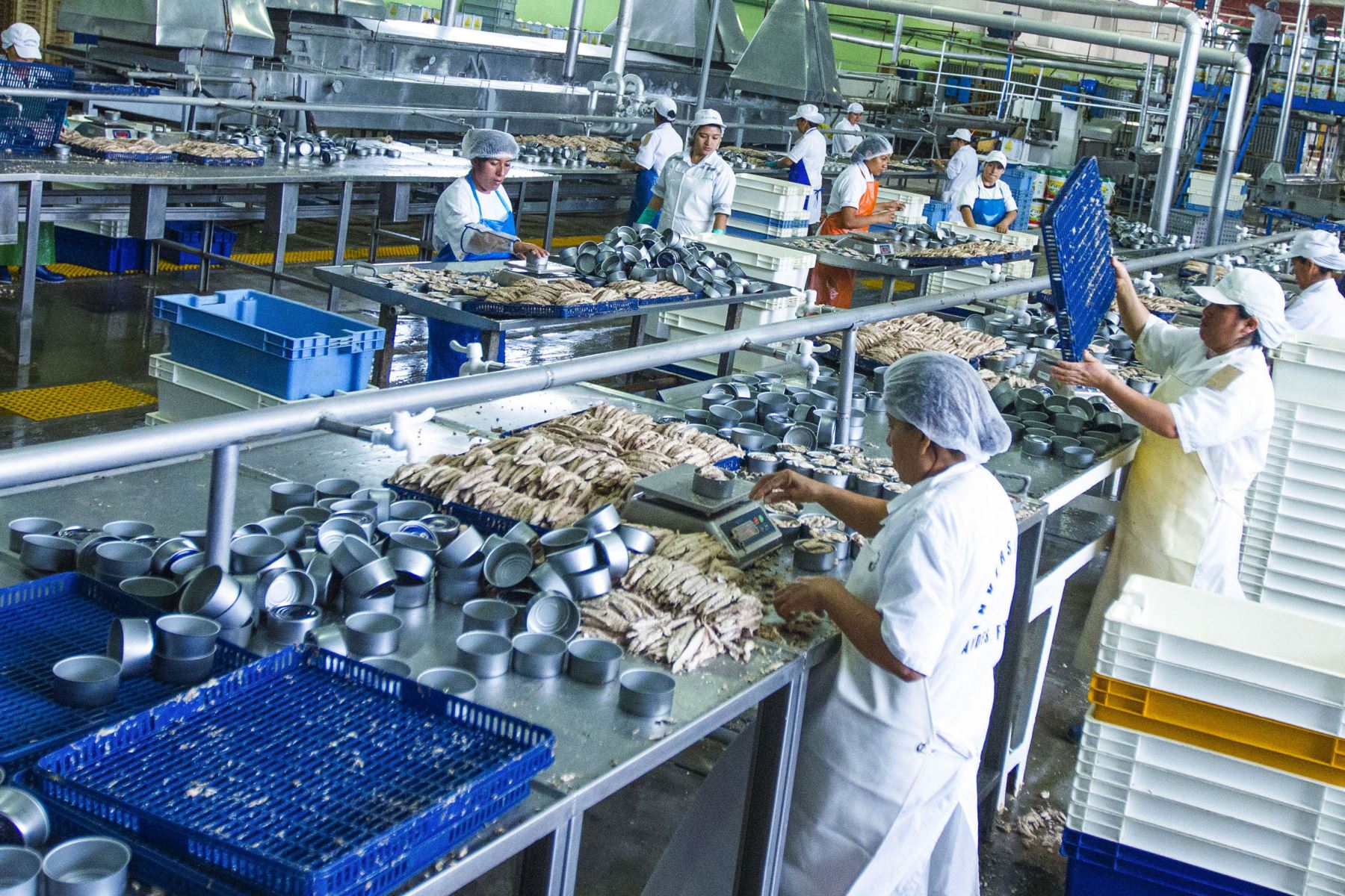 Economía nacional se expandió 5.27% en noviembre de 2018 según informe del INEI