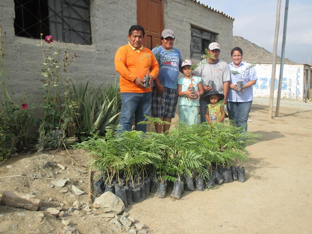  San Jacinto: empresa azucarera continúa con la iniciativa “adopta un árbol”