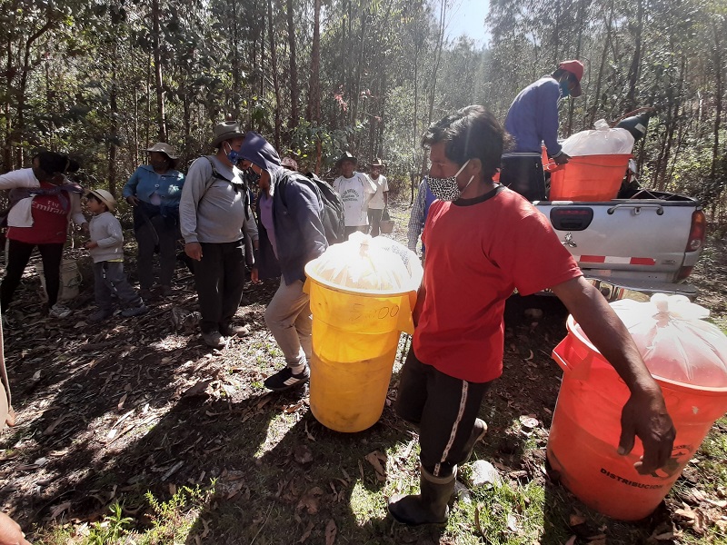 Áncash: entregan 20 mil alevinos de trucha a criadores de Yungay y Antonio Raimondi
