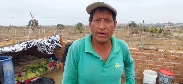 Chimbote: agricultor despojado por su expareja de su casa vive en un corral de cerdos por mandato judicial 