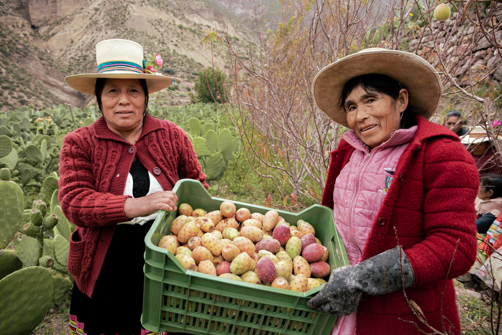 Más de 830 mujeres rurales e indígenas de organizaciones agrarias se bonificarán con subvención económica 