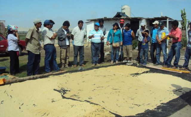 Agricultores de Jimbe son capacitados para mejorar sus cultivos 