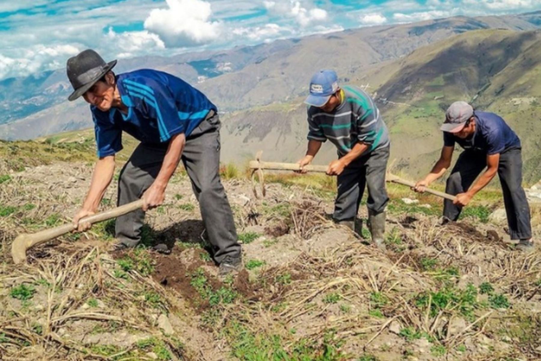 Midagri implementará programa "Agroaplica" que cofinanciará proyectos agrarios